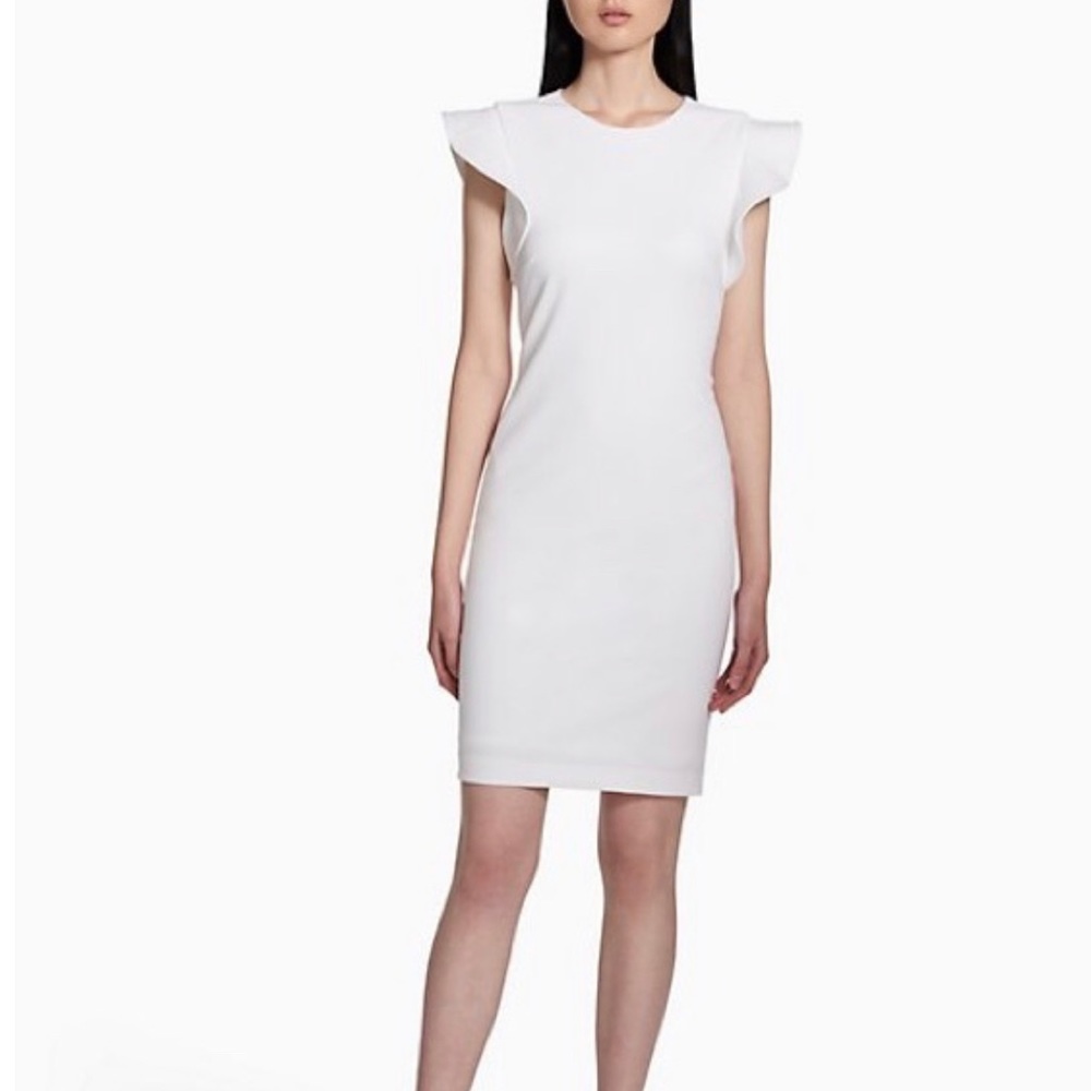 Calvin Klein Women's Ruffle-Sleeve Sheath Dress Size 6